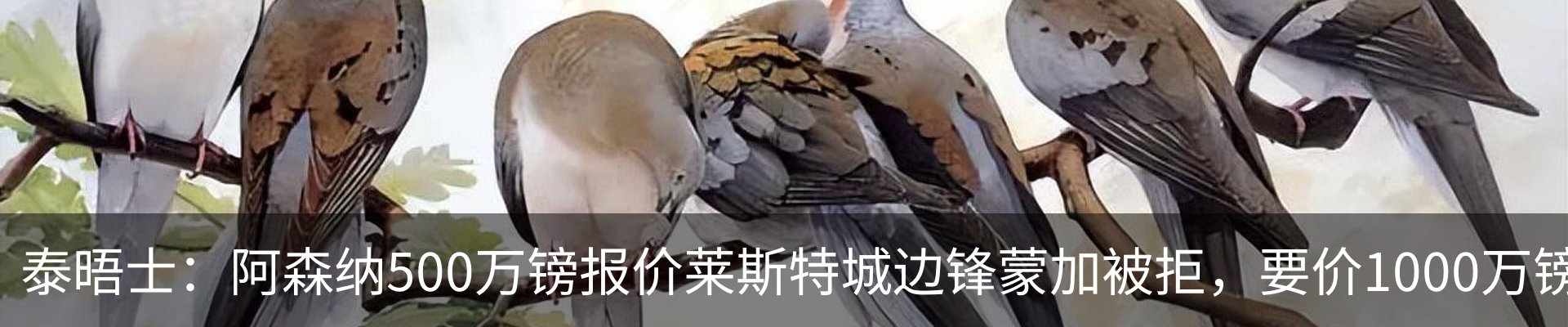 新闻中心